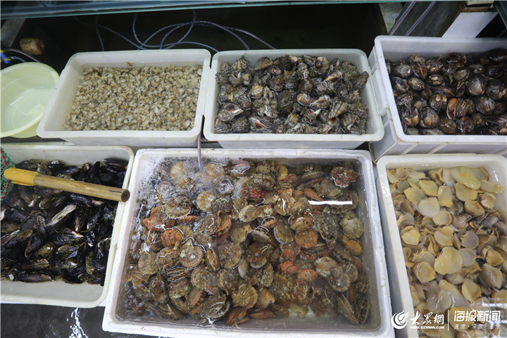 青島 休漁期水產品批發市場貨源充足，品類豐富價格穩