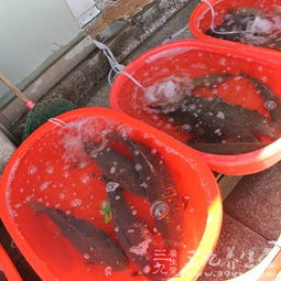 冬季常吃6種水產品，讓你輕松抗寒保暖